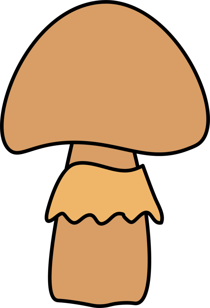 isolated illustration of different mushroom patterns nature illustration png