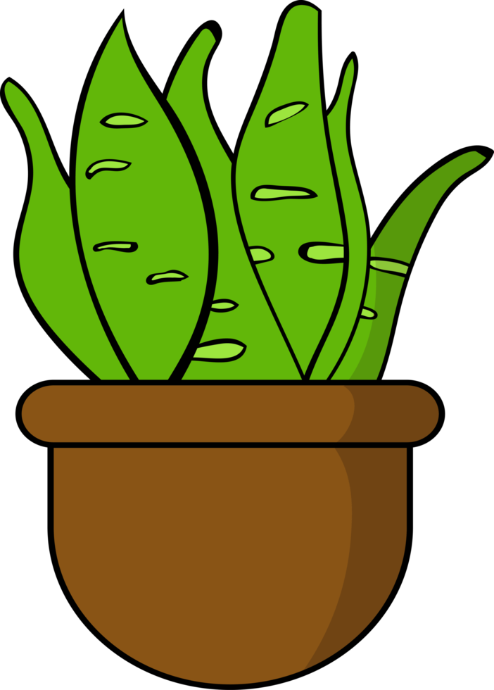 desenho isolado de planta em um pote ilustração de planta de escritório png