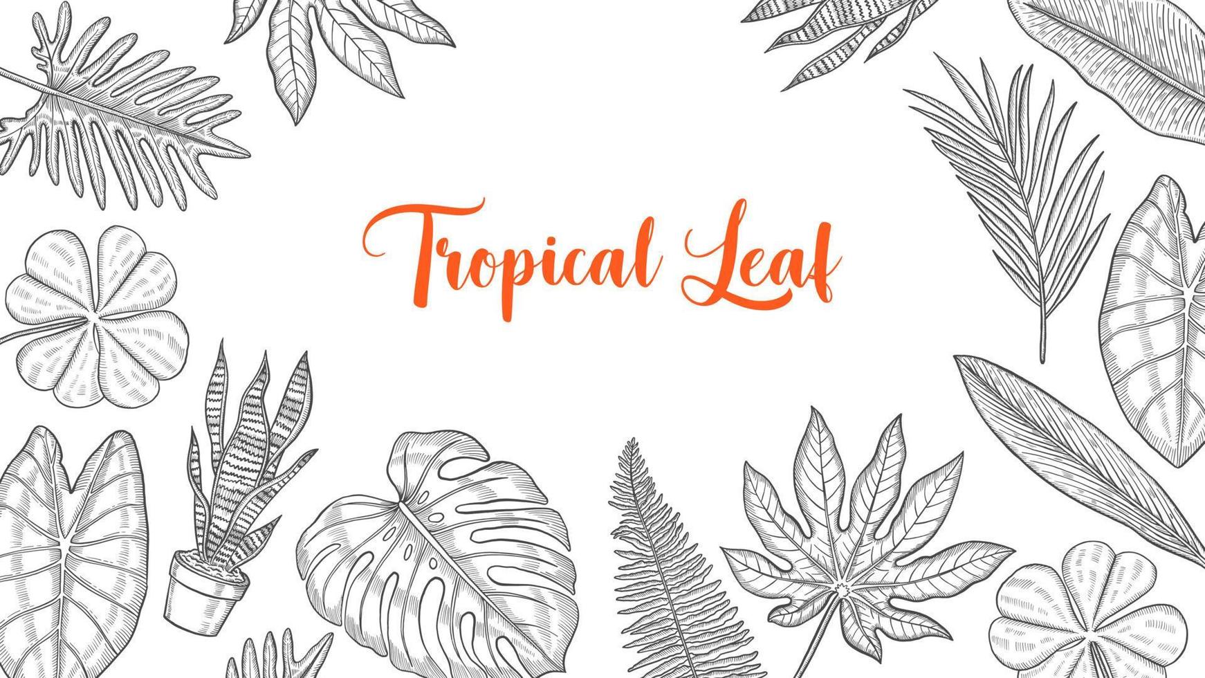 tropical leaf set collection with hand drawn sketch for background banner template poster vector