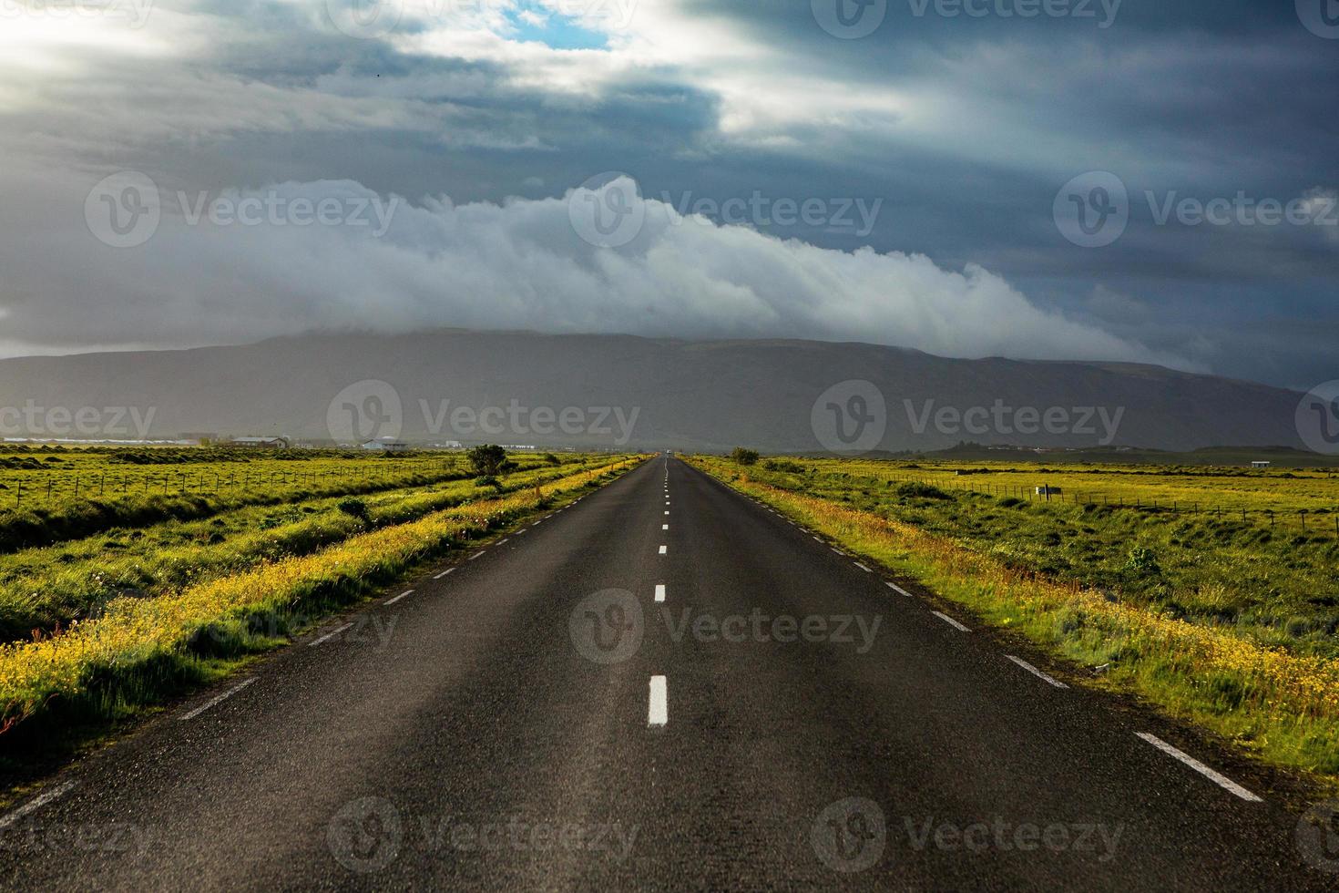 Picturesque landscape with green nature in Iceland during summer. Image with a very quiet and innocent nature. photo