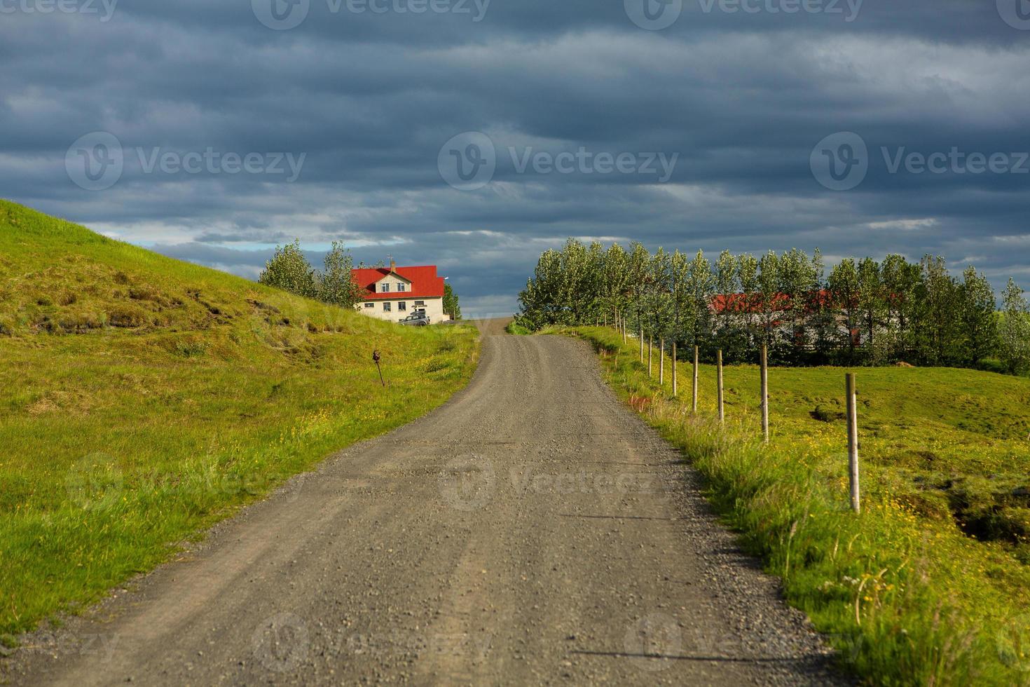 Picturesque landscape with green nature in Iceland during summer. Image with a very quiet and innocent nature. photo