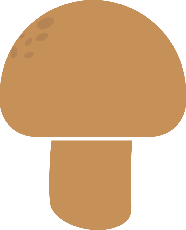 isolated illustration of different mushroom patterns nature illustration png