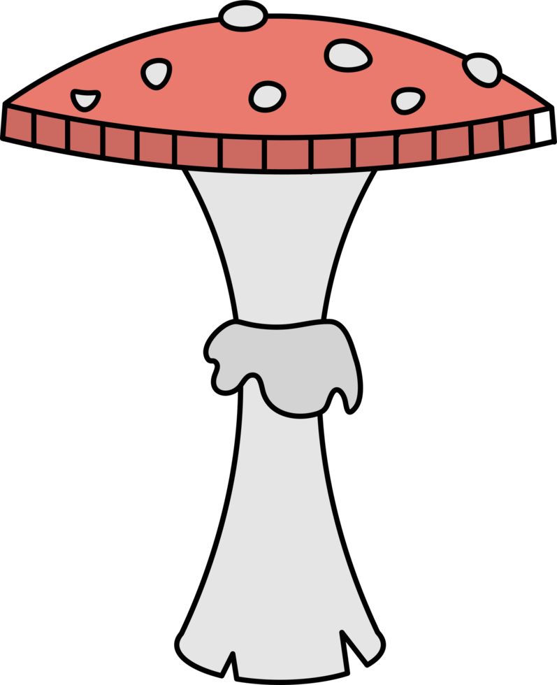 isolated illustration of different mushroom patterns nature illustration png