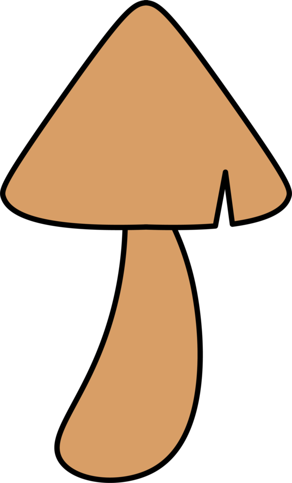 isolated illustration of different mushroom patterns nature illustration png