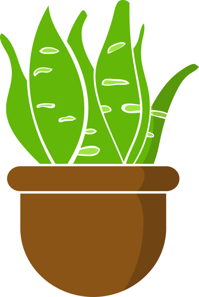desenho isolado de planta em um pote ilustração de planta de escritório png