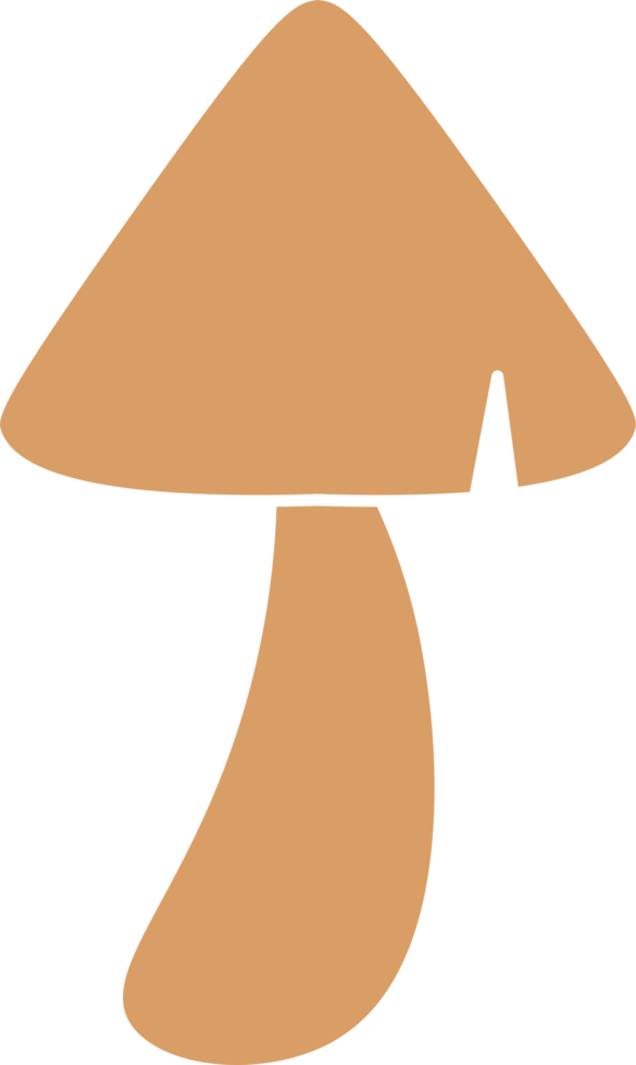 isolated illustration of different mushroom patterns nature illustration png