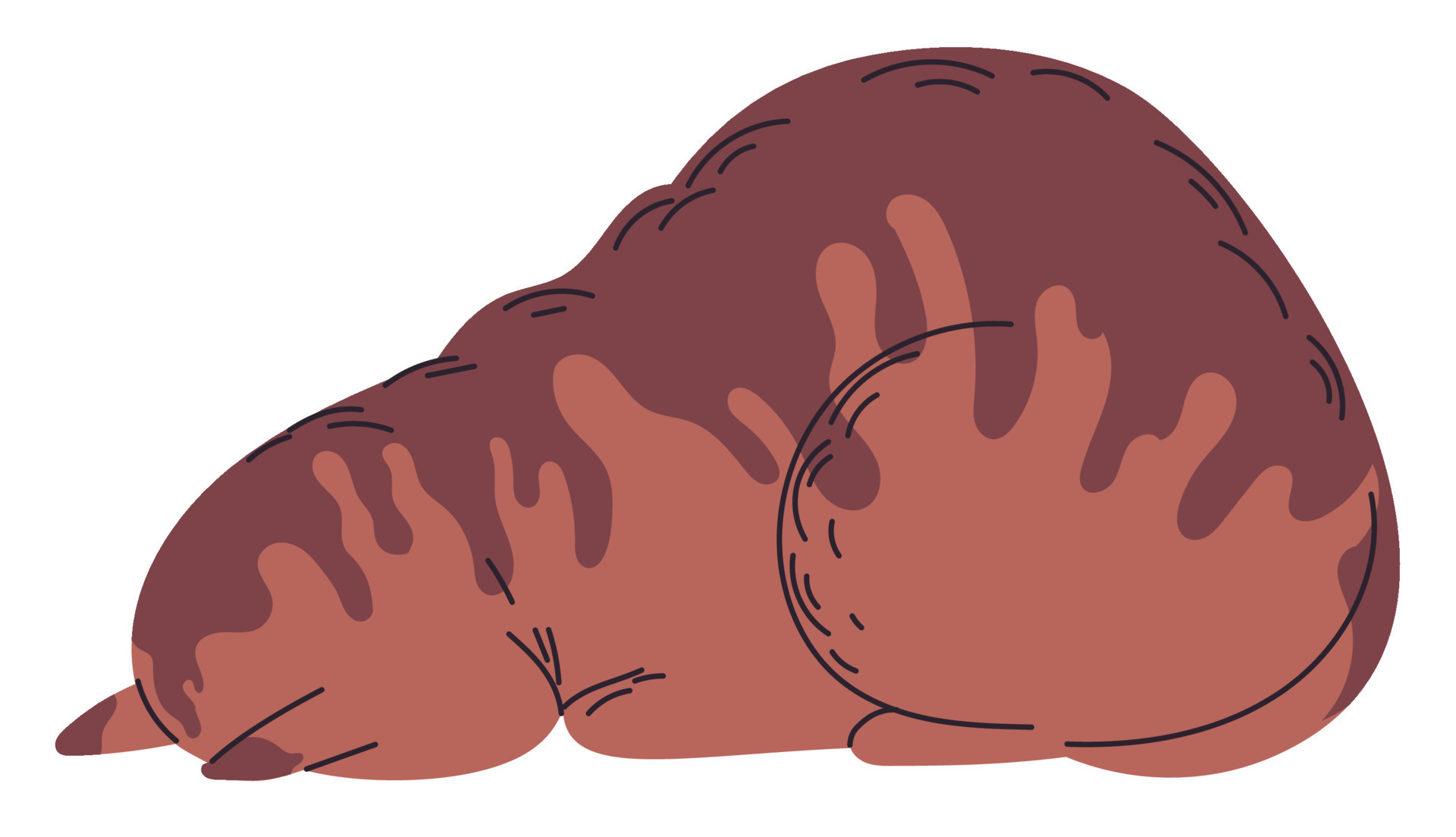 Cat lying with face down, cat rests forehead and nose on floor. 9270454