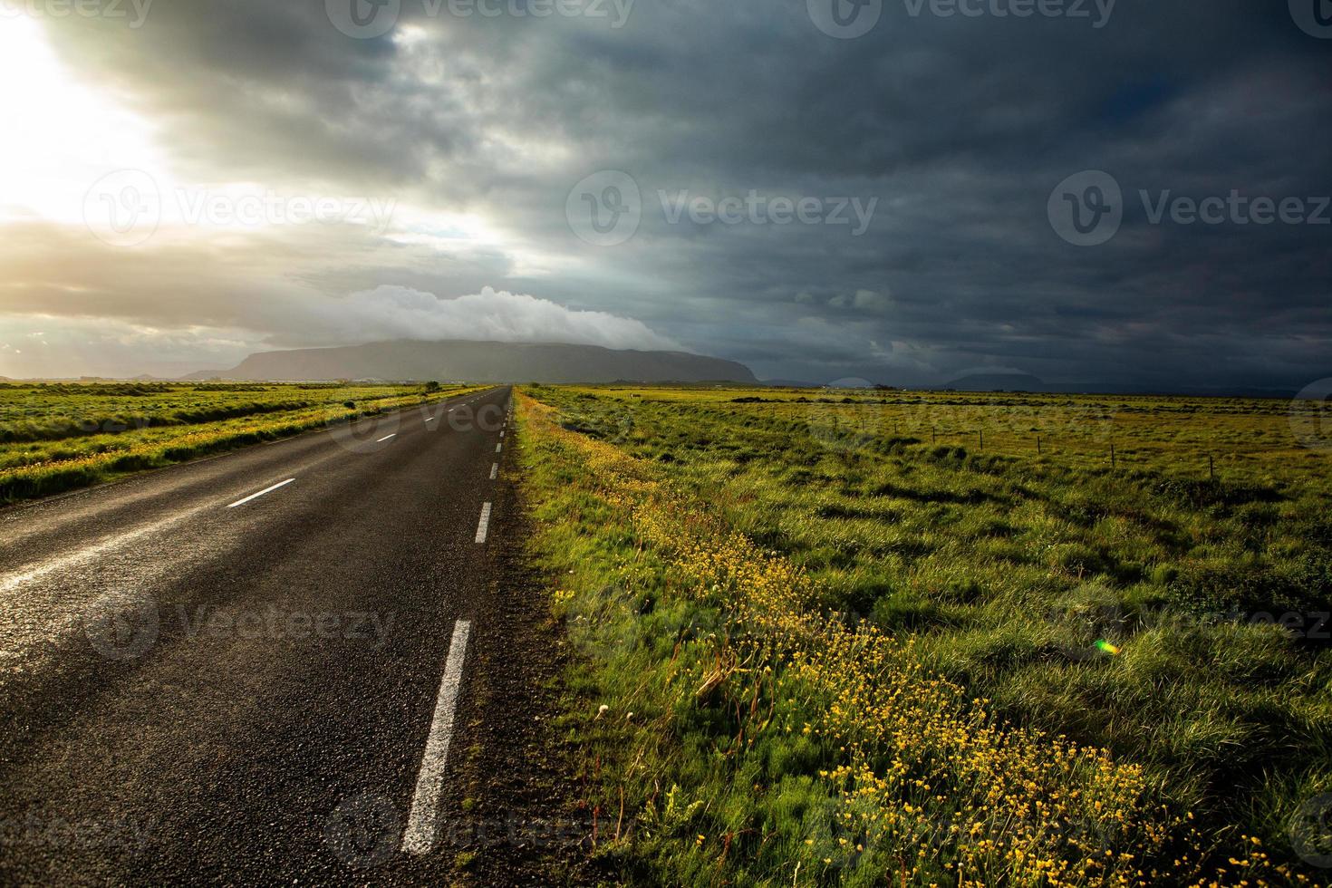 paisaje pintoresco con naturaleza verde en islandia durante el verano. imagen con un carácter muy tranquilo e inocente. foto