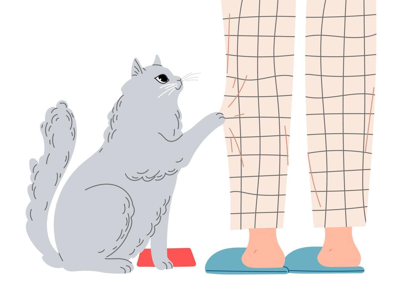 gato hambriento pide comida a su amo gato toca la pierna del dueño con pantalones de garras vector