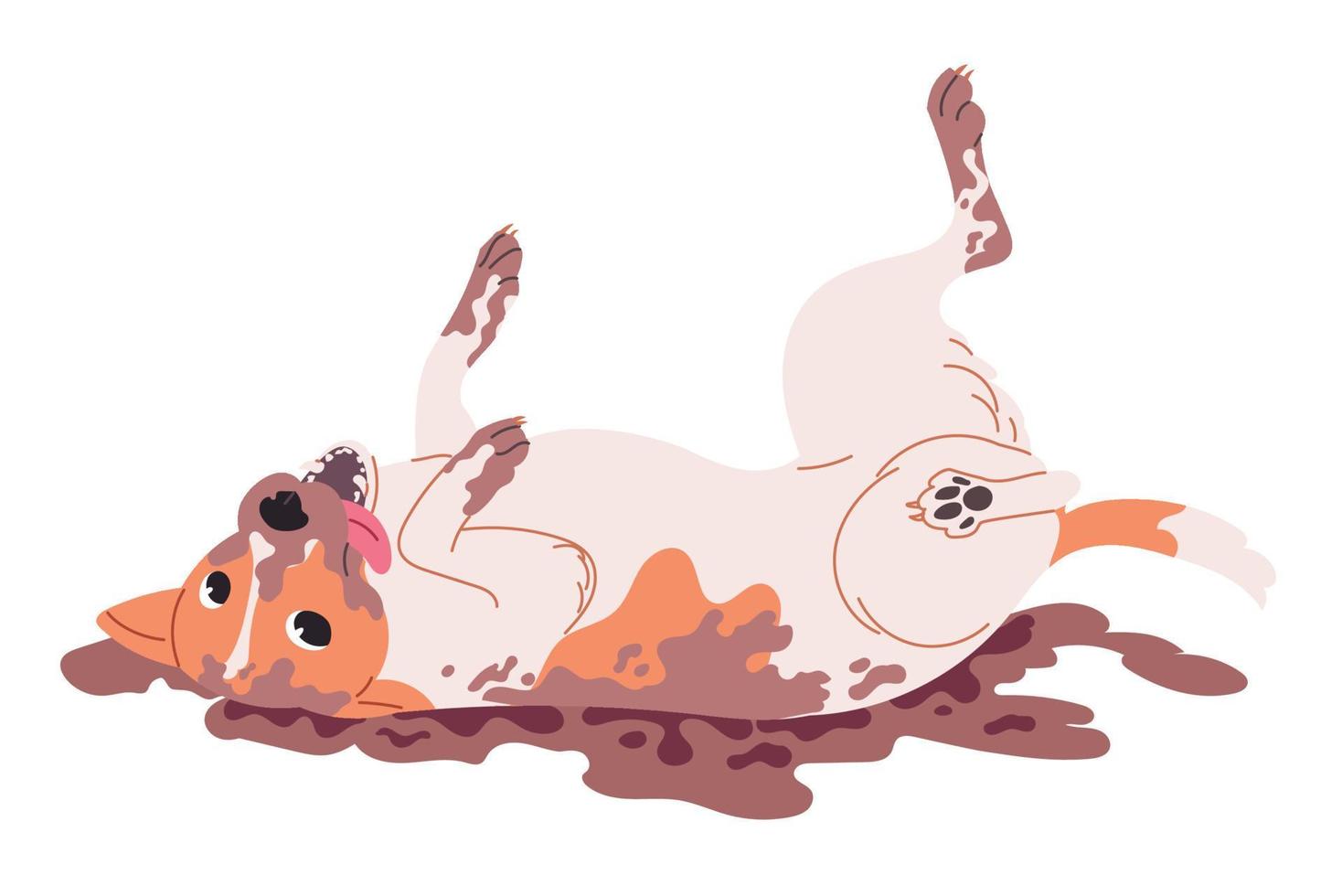 Joyful dog freaks out, wallows in a puddle. Jack Russell Terrier breed. vector