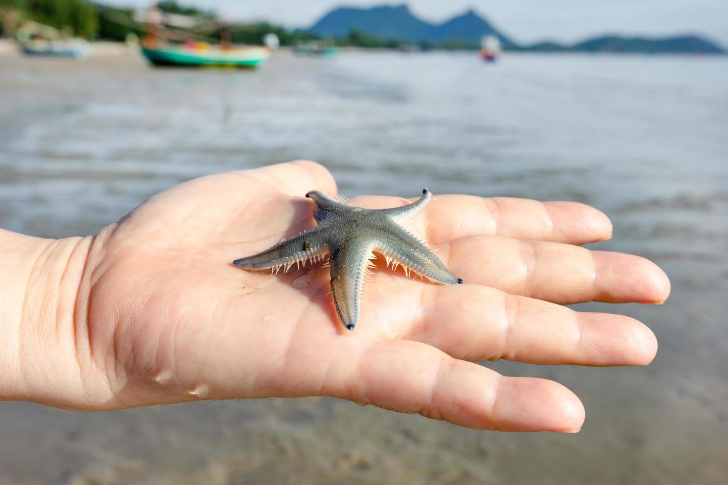 hand holding starfish with sea view background photo