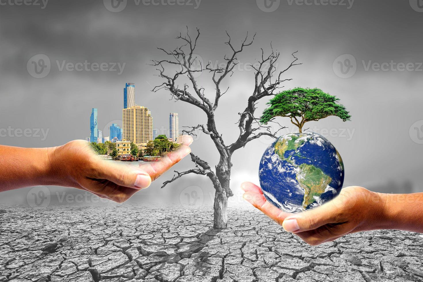 Design concept Nature or capitalism photo