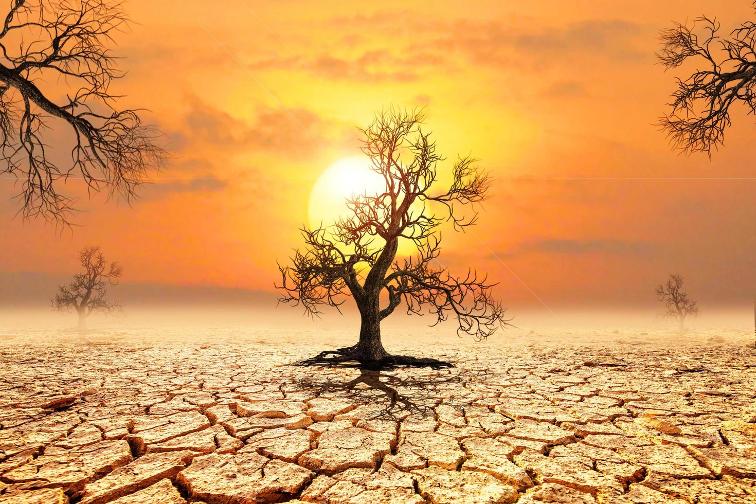 concept of global warming and climate environment change photo