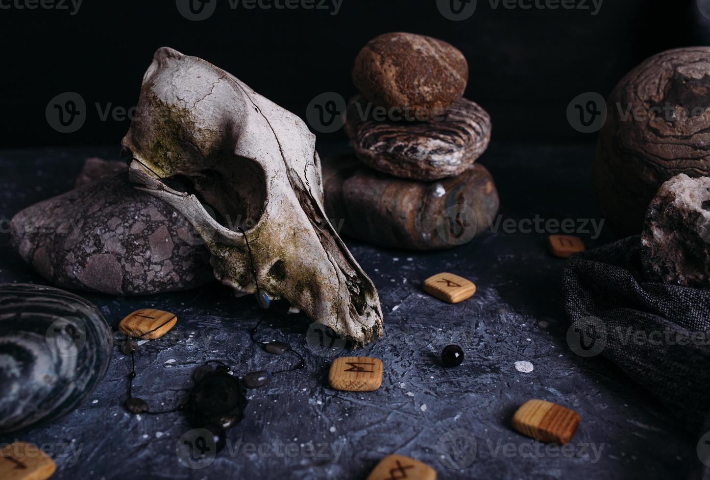 viejo cráneo de perro, runas de madera y piedras en la mesa de brujas. foto