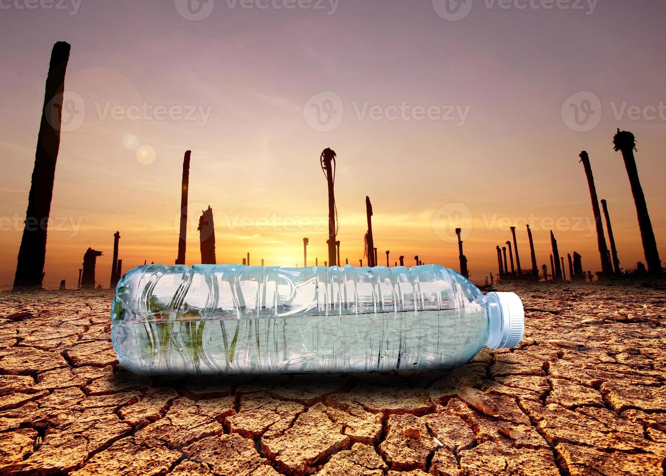 concepto de sequía por escasez de agua debido al calentamiento global. botellas de agua colocadas en áreas de sequía y suelo roto foto