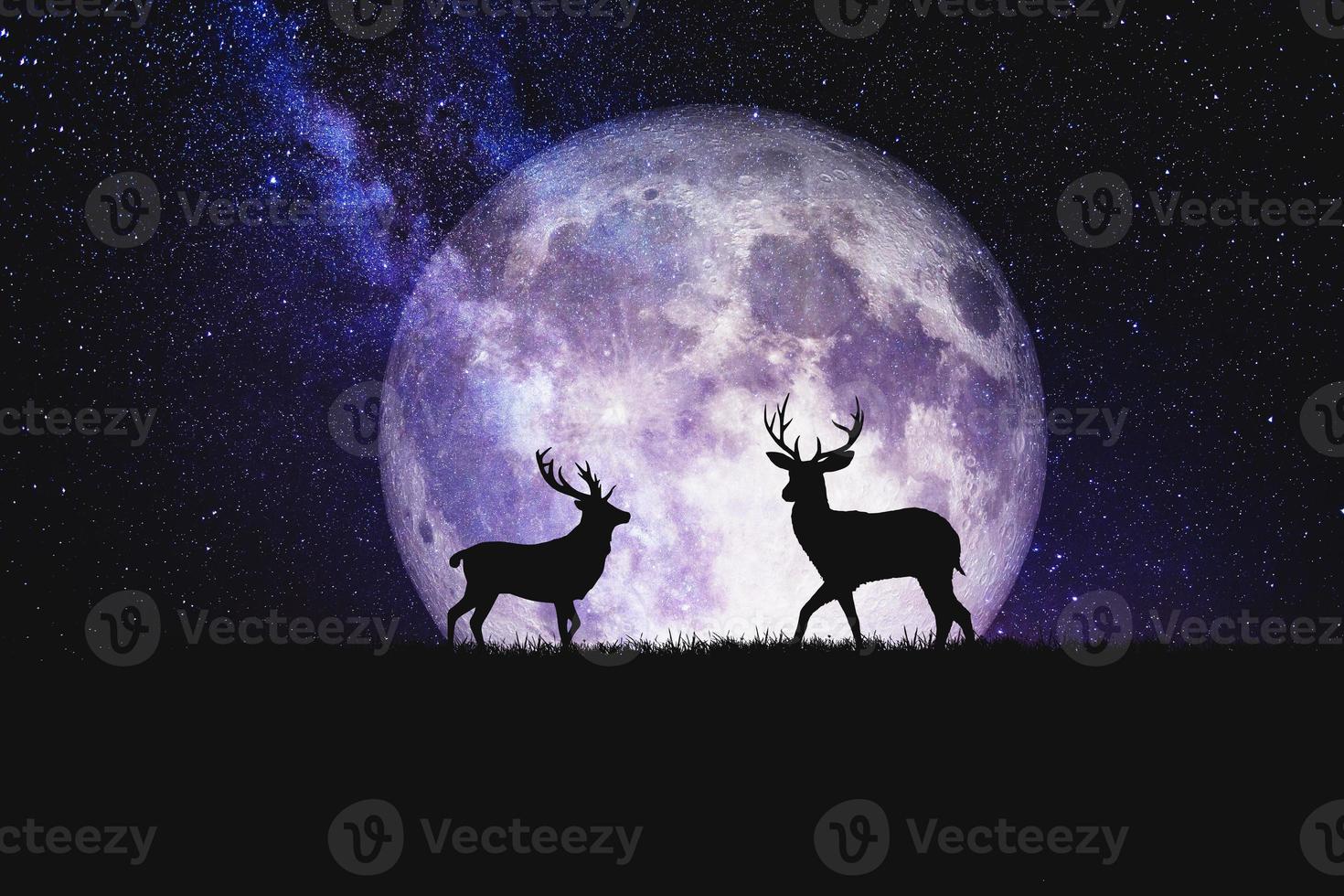 Night deer silhouette against the backdrop of a large moon element of the picture is decorated by NASA photo