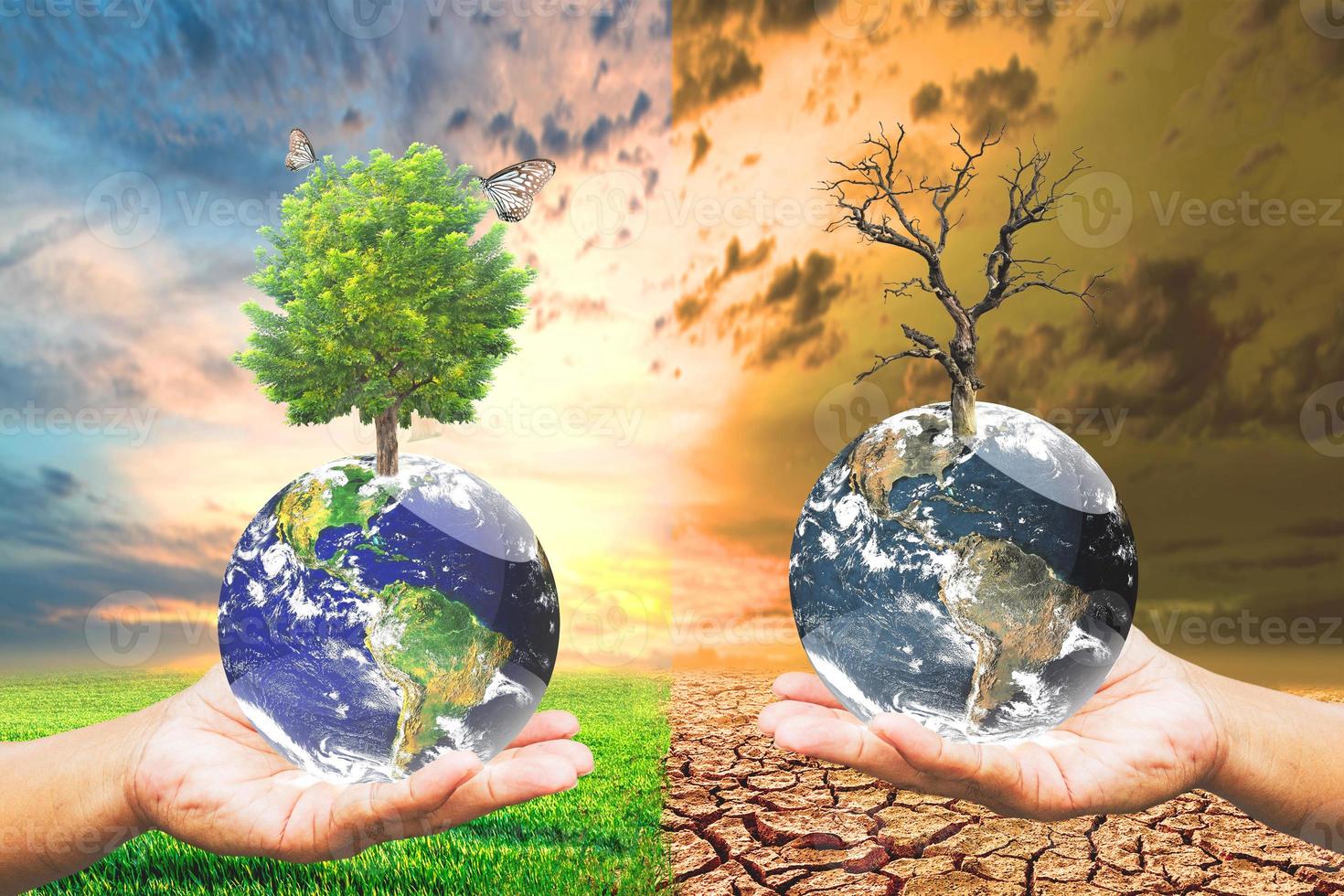 Environmental Conservation Guidelines. Love the world. Save the world. photo