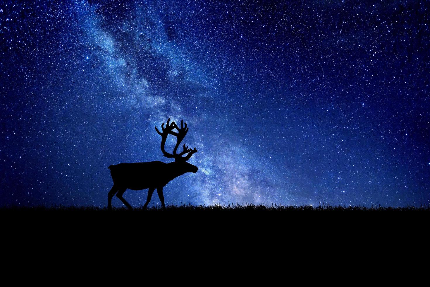 Night deer silhouette against the backdrop of the Milky Way. beautiful background images photo