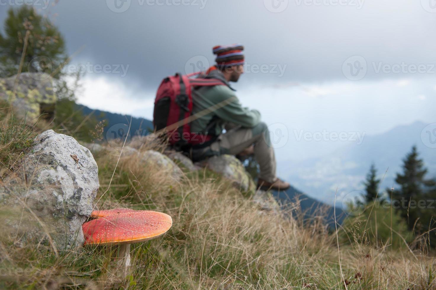 Poisonous mushrooms on theitalian alps photo