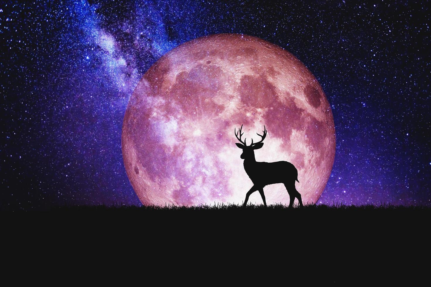 Night deer silhouette against the backdrop of a large moon element of the picture is decorated by NASA photo