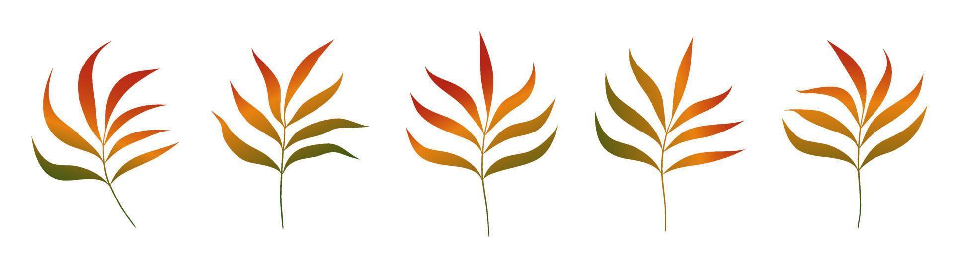 Set of Gradient Leaves Branch Floral Design Element vector