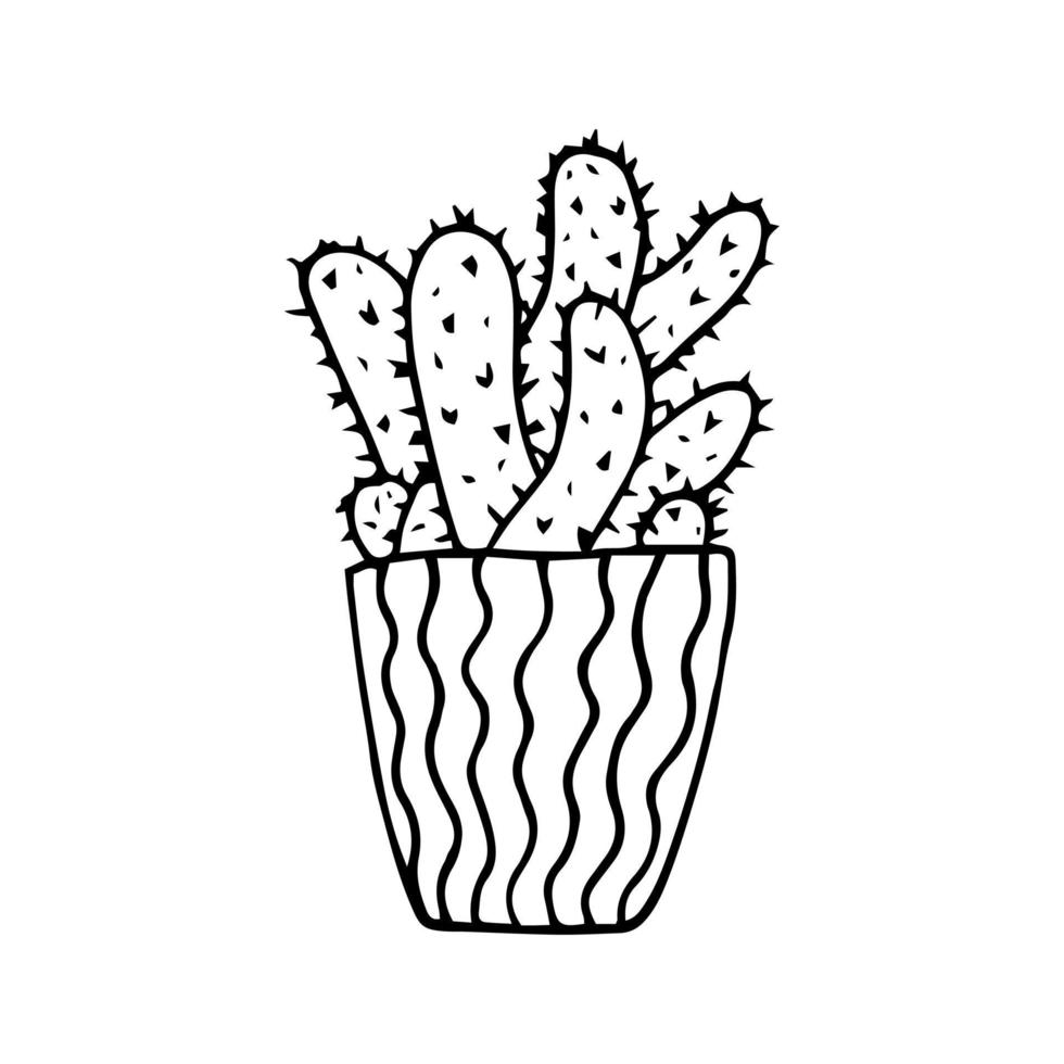 Hand drawn doodle cactus. Vector succulent in pot. Houseplant. Outline.