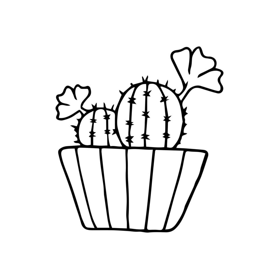 Hand drawn doodle cactus. Vector succulent in pot. Houseplant. Outline.