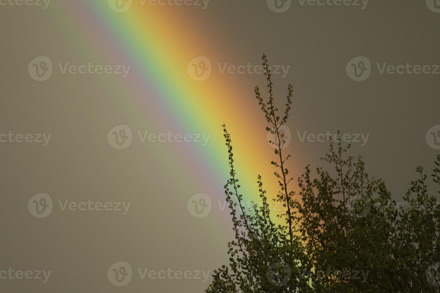 Rainbow in sky. Beautiful weather. Decomposition of light into colors. photo