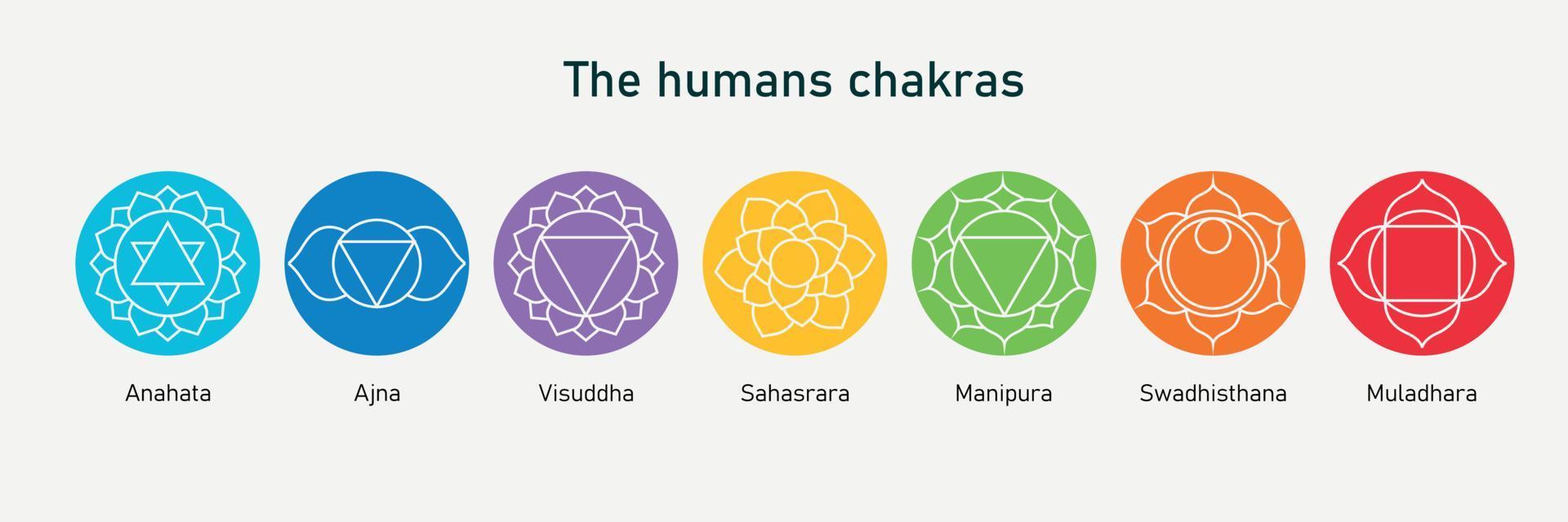 Human chakras line icon set. Symbols with name in Sanskrit. Vector illustration