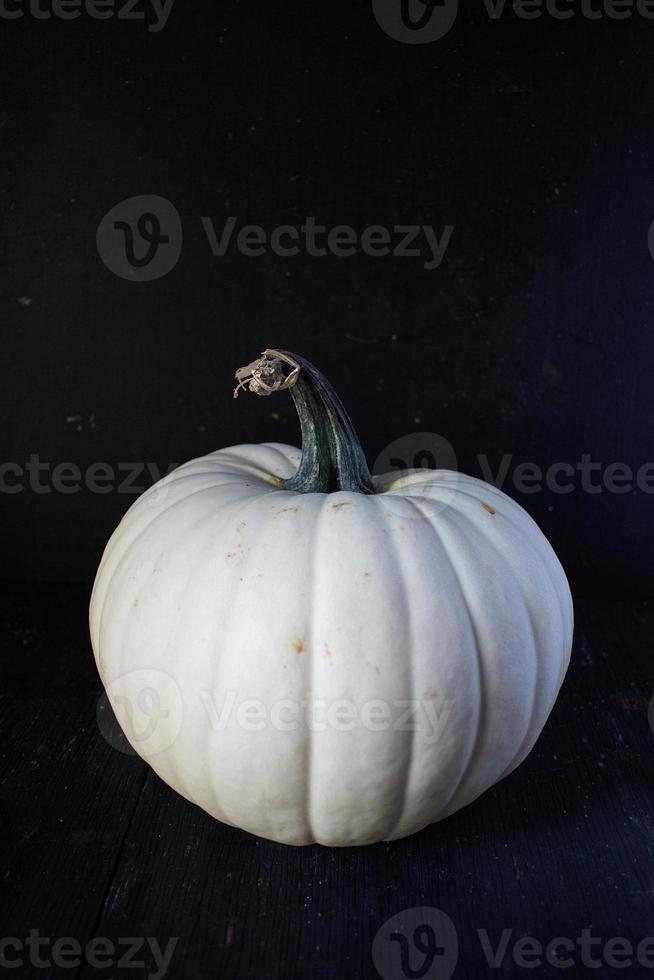 caída de calabaza blanca con tallo sobre fondo negro foto