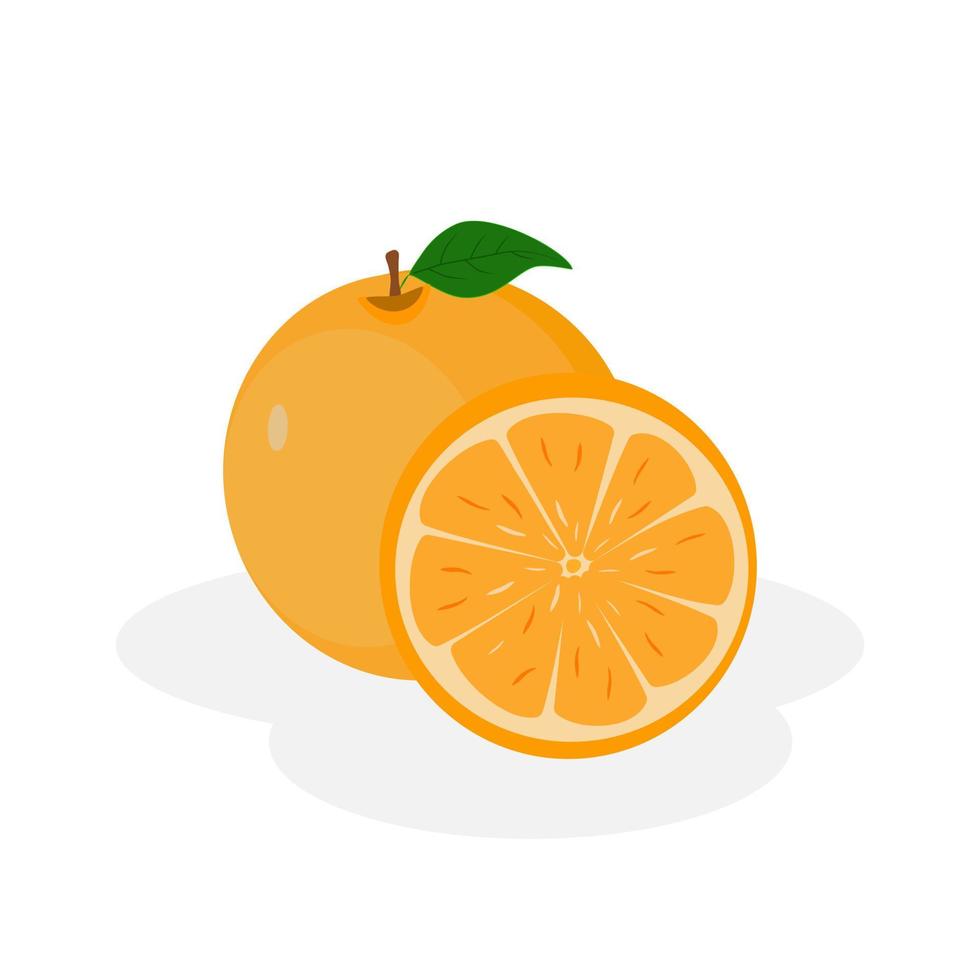 naranja fresca aislada sobre fondo blanco. vector