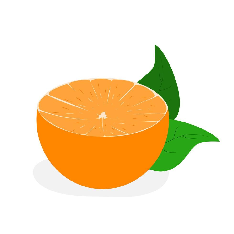 naranja fresca aislada sobre fondo blanco. vector