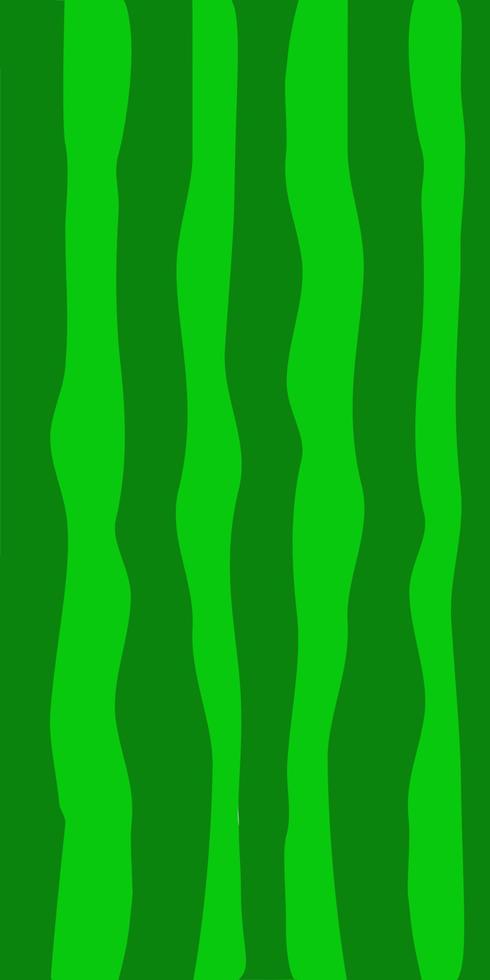 Green watermelon skin background pattern.. vector