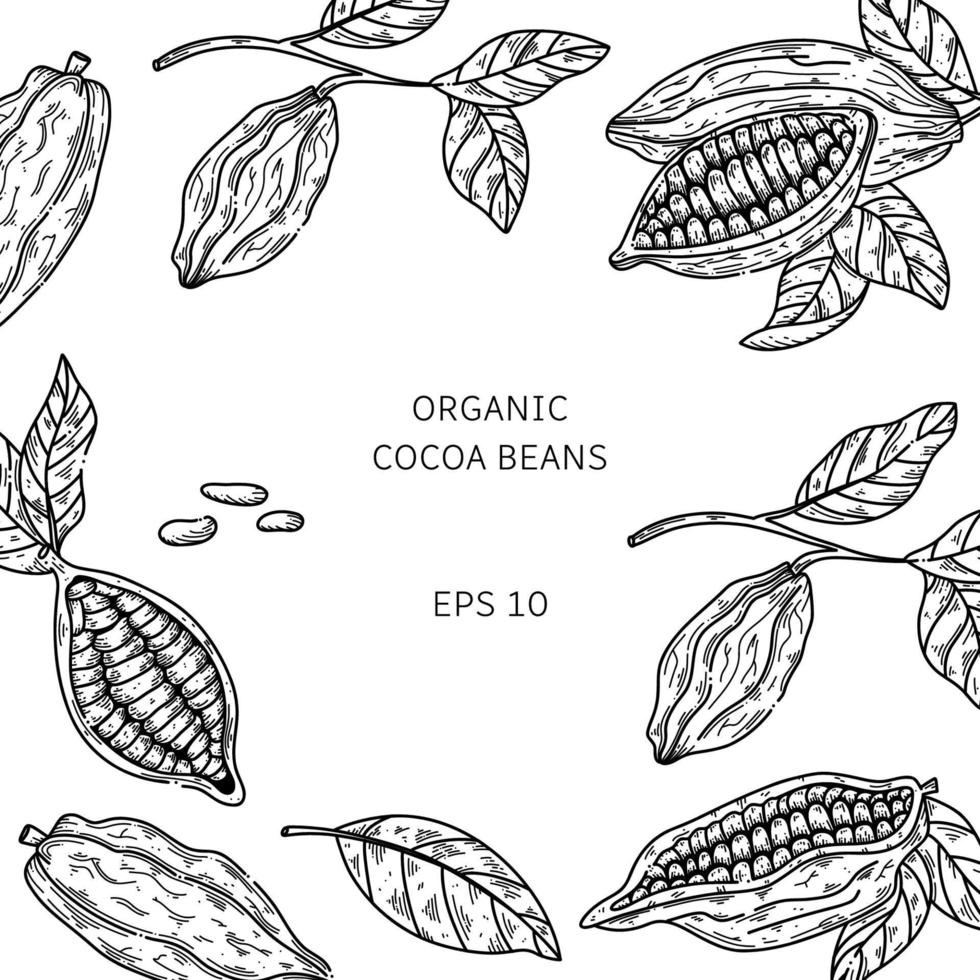 ilustración de marco de vector de cacao. boceto de garabato dibujado a mano para café, tienda, menú. bosquejo de color granos de cacao para el diseño de chocolate