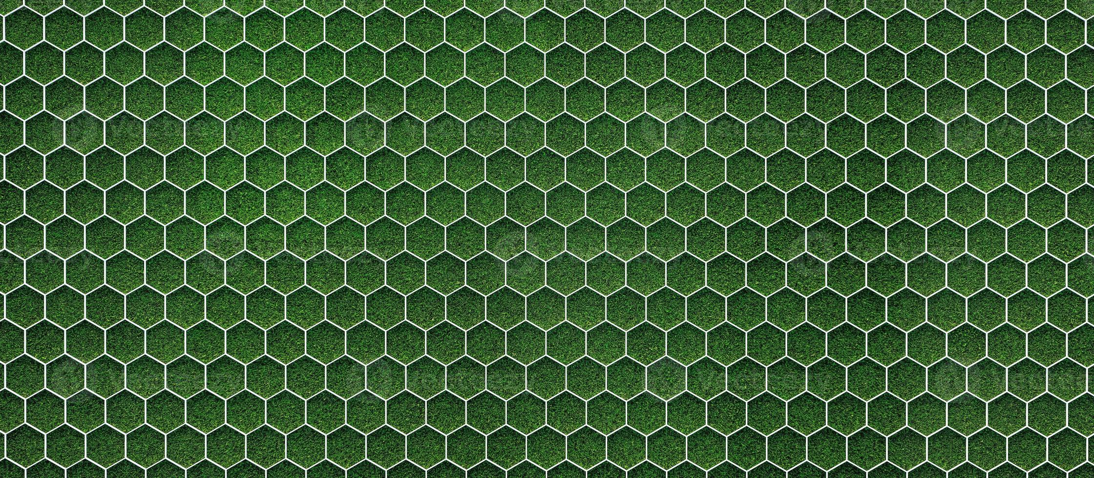 Green grass soccer field with hexagonal goal pattern background. 3d render photo