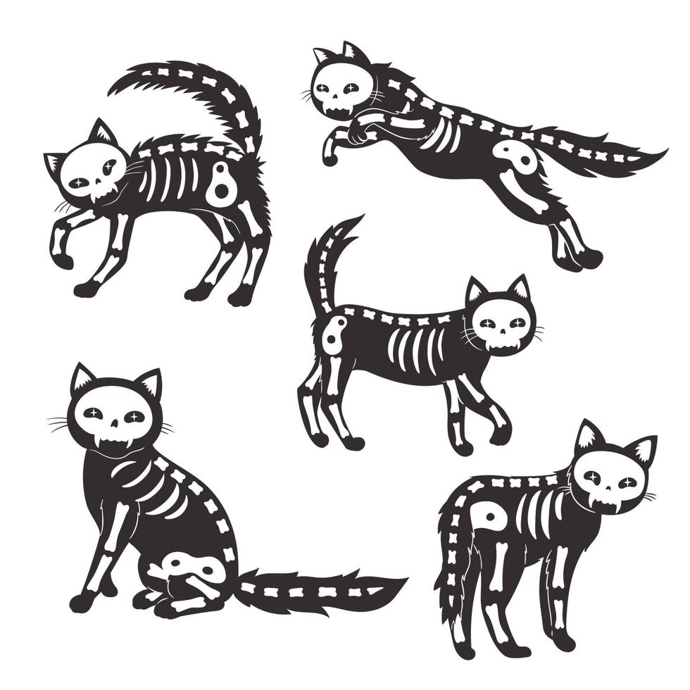 Set of cats skeletons isolated on white background. Vector graphics