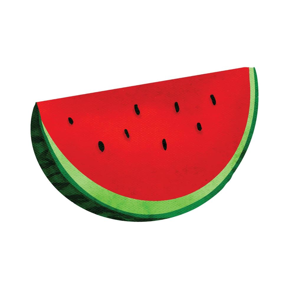 watercolor summer watermelon slice illustration vector
