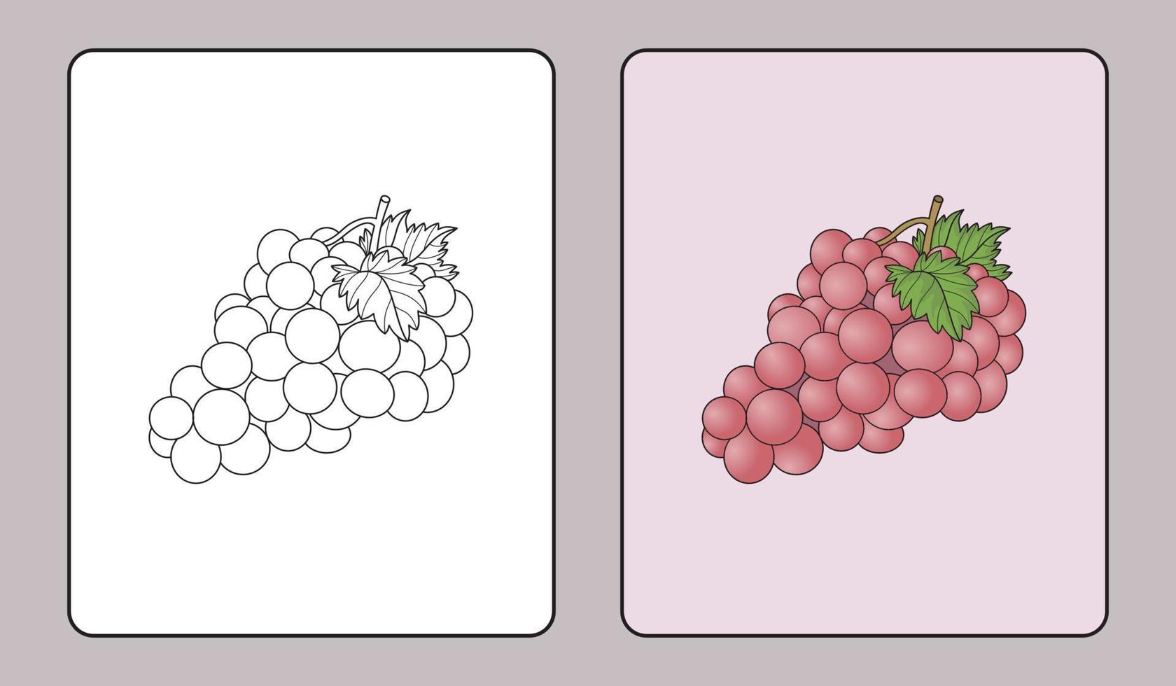 grape coloring book or educational pages for kids vector