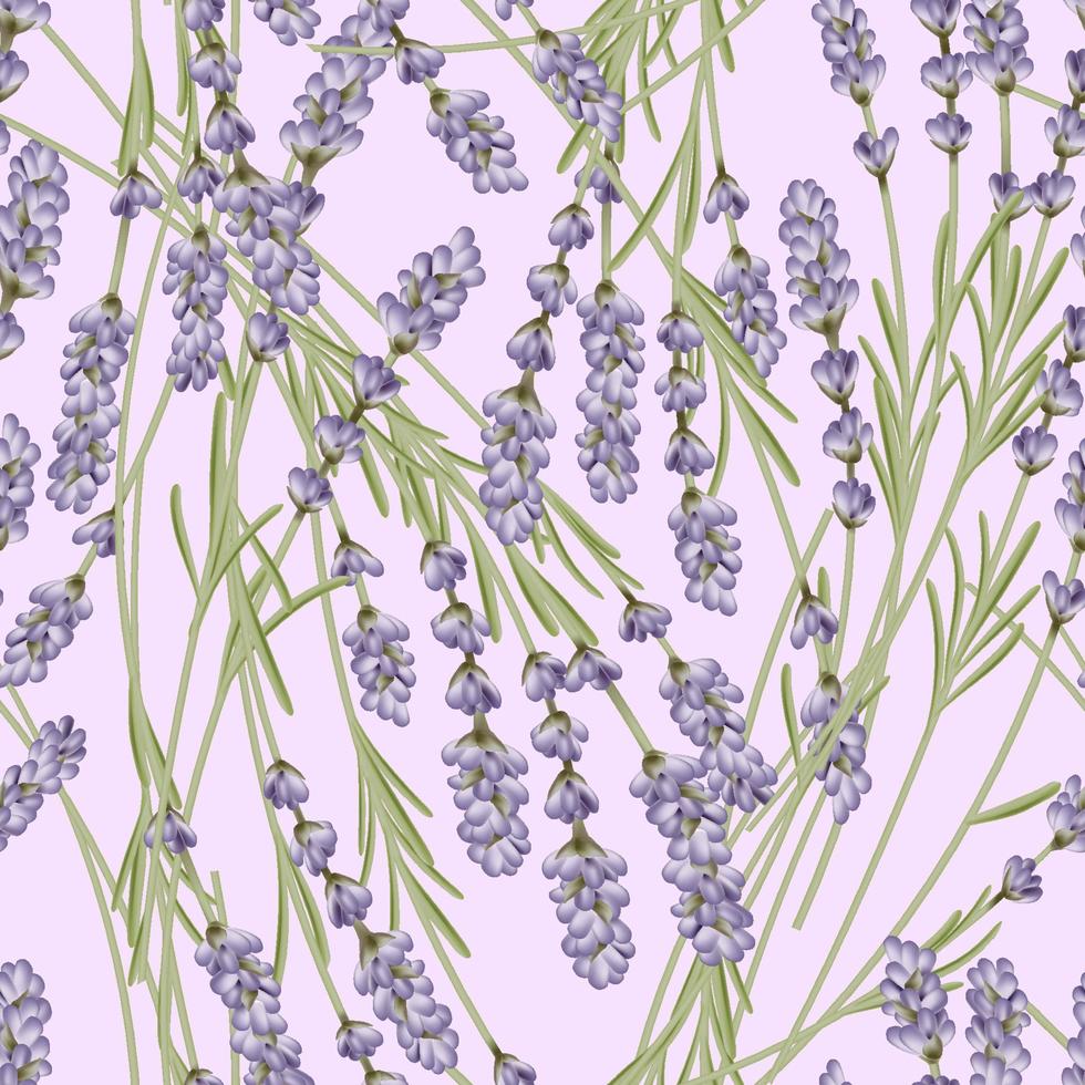 Vector French Lavender Seamless Pattern in Pastel Pink Background