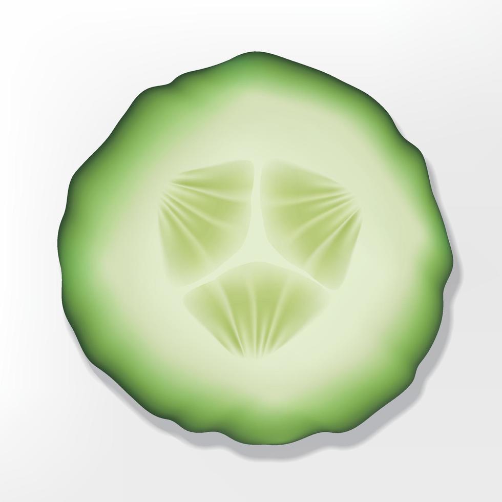 Vector Cut Out Sliced Cucumber Flat Lay Illustration.