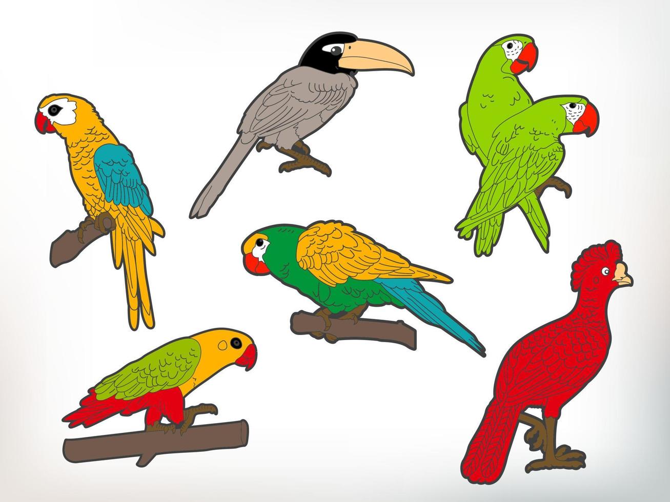 colección de ilustraciones de loros o pájaros vectoriales vector