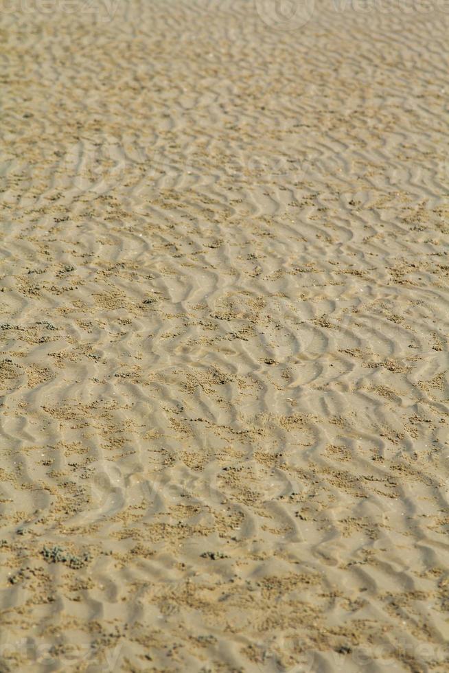 natural streaks of the sandy bottom when the sea recedes create beautiful traces and the naturally formed wrinkles make tourists search and take pictures in the beautiful natural landscape. photo
