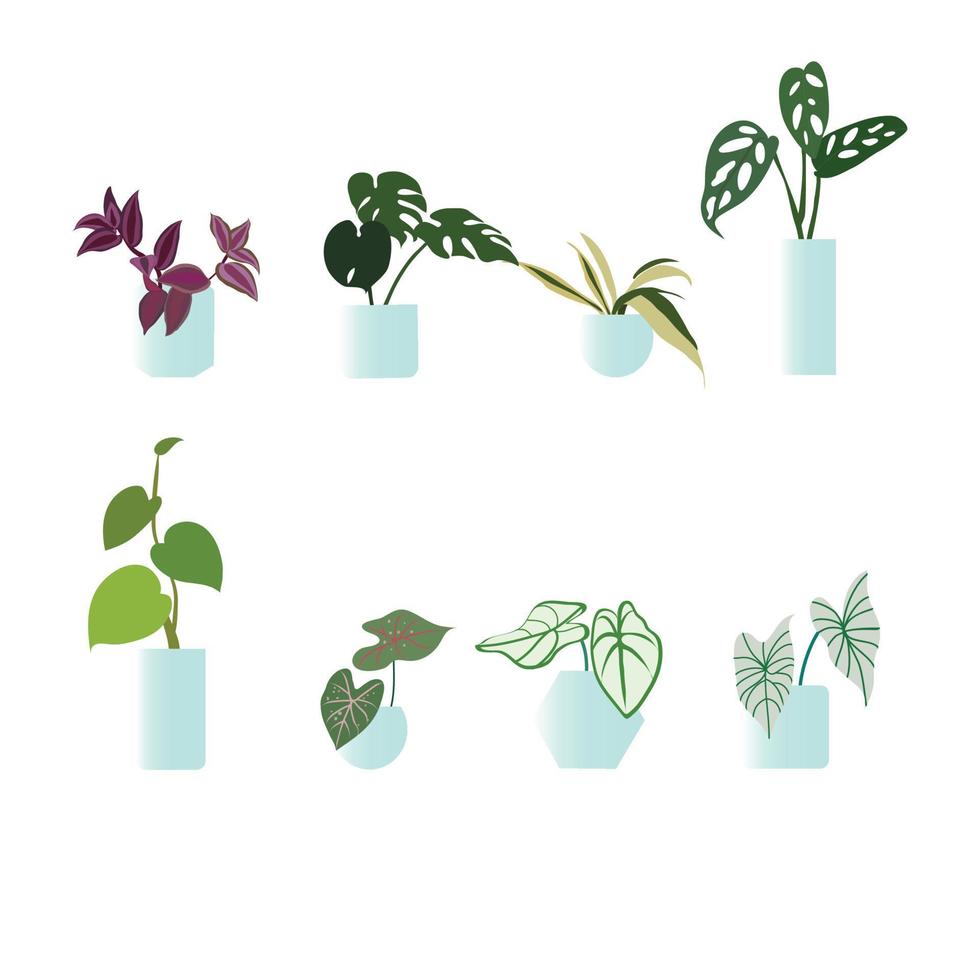 plants with glass jar vector