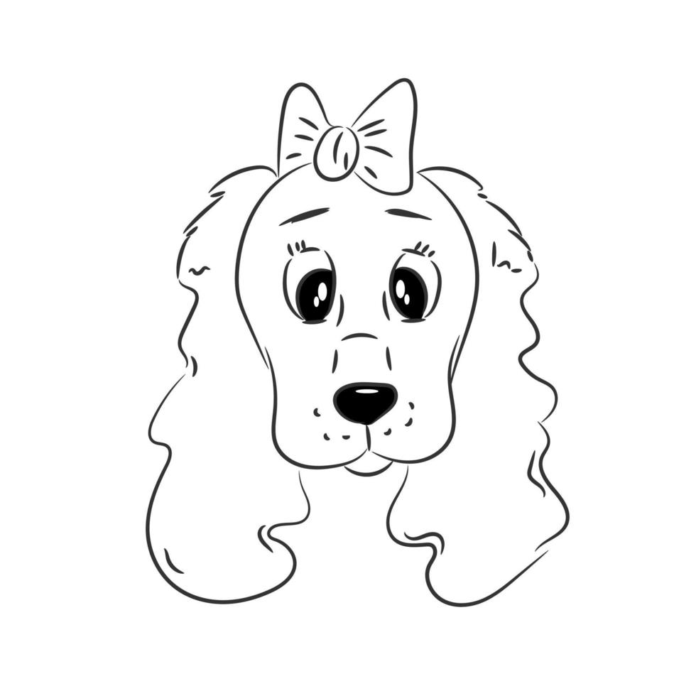 retrato de un cocker spaniel vector