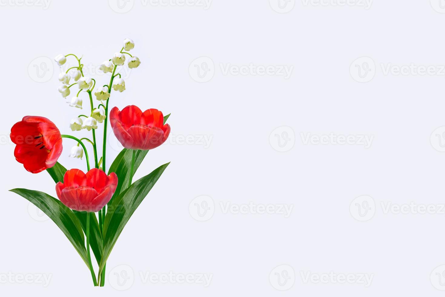 Lily of the valley flower on white background photo