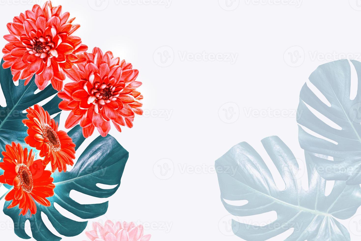 Colorful autumn flowers. monstera, gerbera, chamomile. photo
