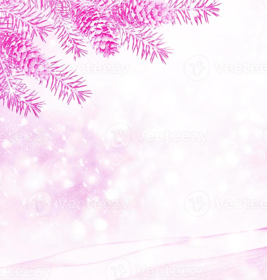 Frozen winter forest with snow covered trees. photo