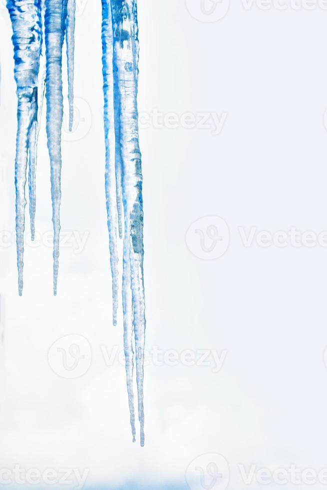 White icicles against the blue winter sky. photo