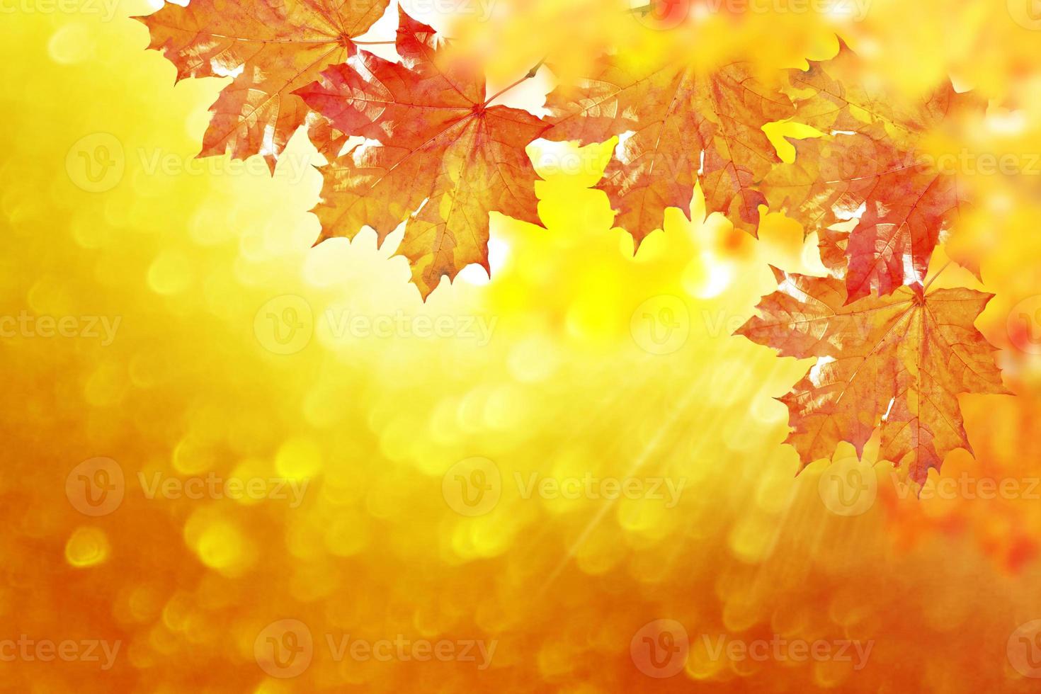 autumn landscape with bright colorful foliage. Indian summer. photo