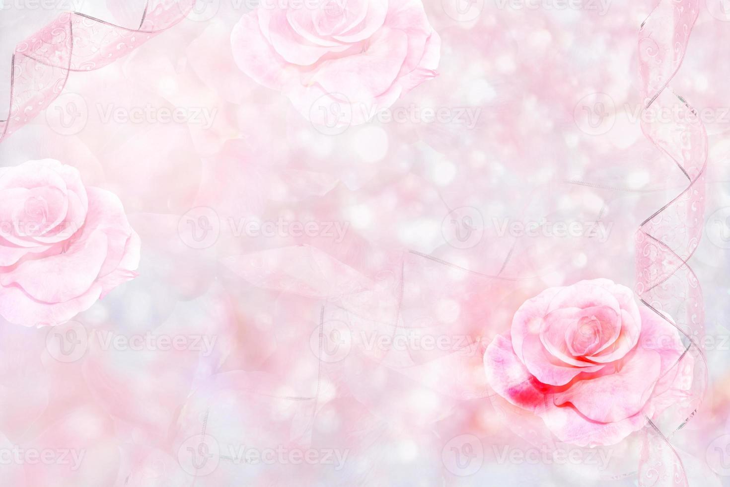 Bright colorful flower rose. nature photo